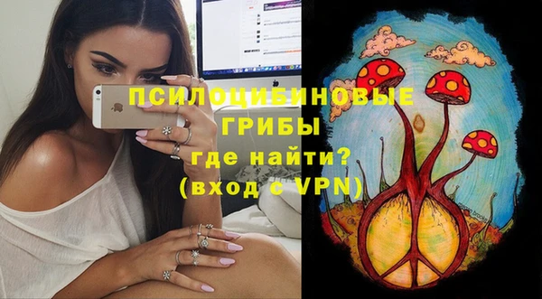 ешки Алзамай