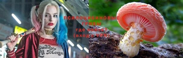 ешки Алексин